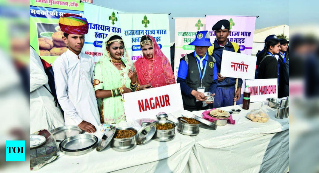 Pali Learning Lessons On Progress With Peace At Pali Jamboree Jaipur