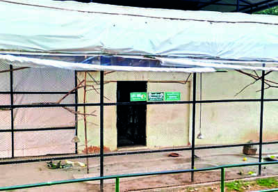 Assam zoo installs heaters in enclosures to keep animals warm during winter