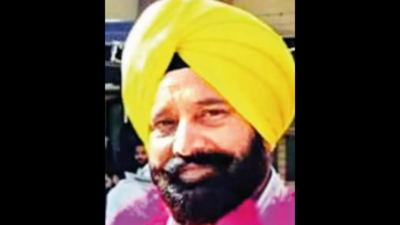 Punjab's new minister had received RI for assault