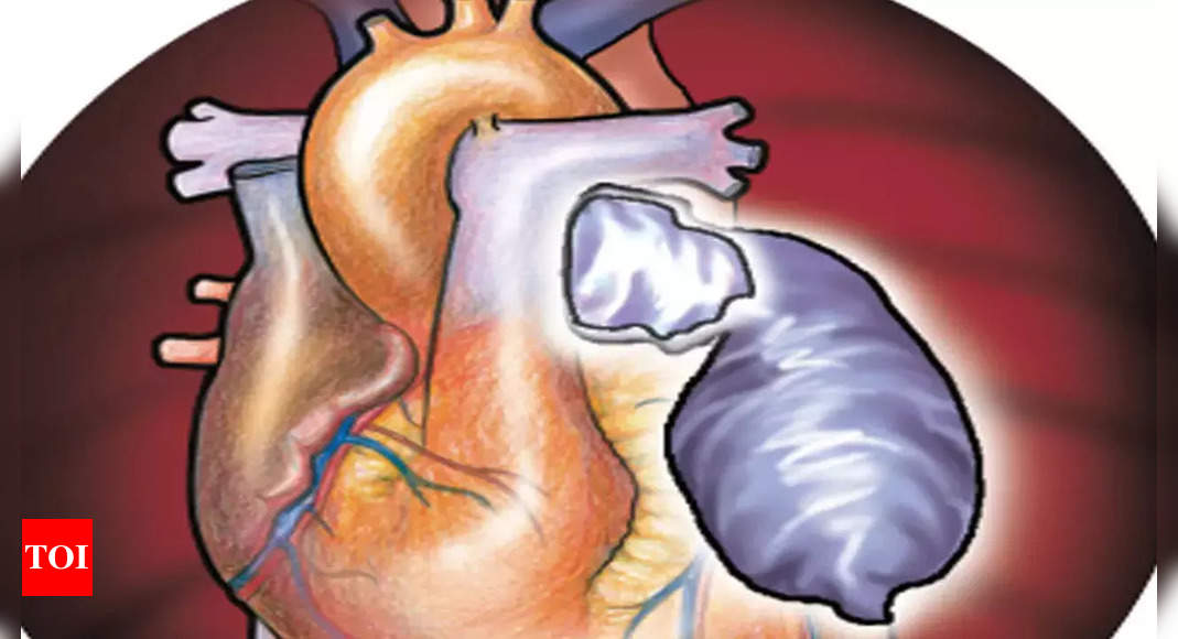 असम में 1,000 जरूरतमंद बच्चे, वयस्क मुफ्त दिल की सर्जरी करेंगे |  गुवाहाटी समाचार – टाइम्स ऑफ इंडिया