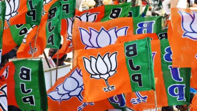 Bengal BJP activists protest over irregularities in Pradhan Mantri Awas Yojana, block road in Hooghly