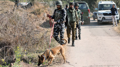 Timely recovery of IED averts major tragedy in J&K's Rajouri