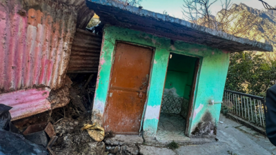 Experts blame hydro-power projects, mindless growth in ecologically fragile region for Joshimath crisis