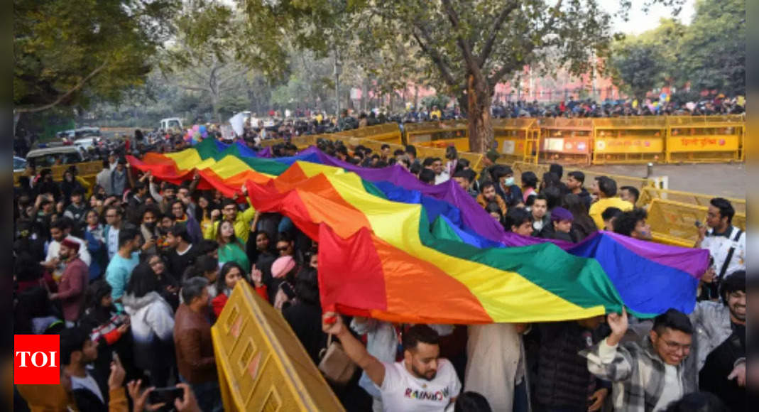 Thousands join postpandemic pride parade in Delhi Delhi News Times