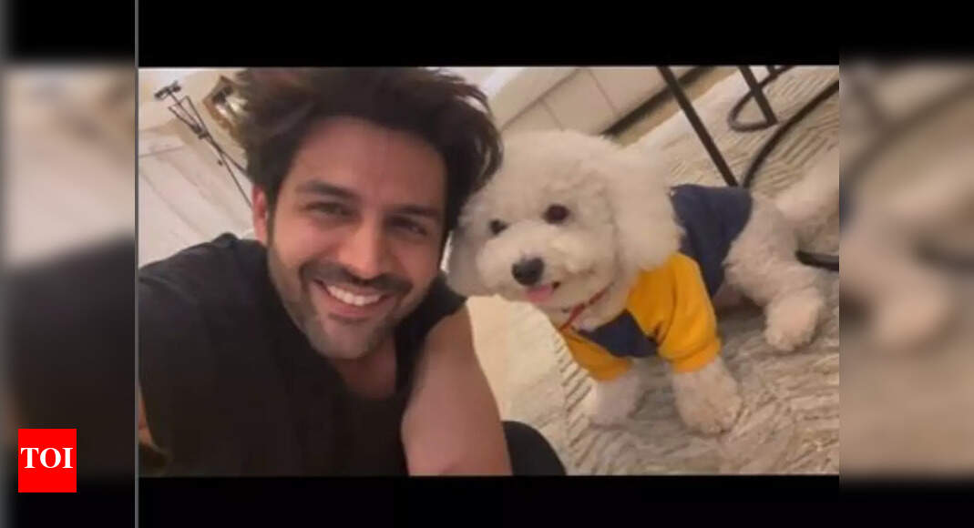 Kartik Aaryan drops the cutest video with his ‘poser sibling’ Katori, Kriti Sanon reacts – Times of India