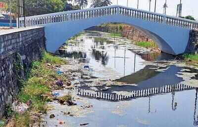 Littered Colva creek awaits rejuvenation plan