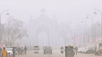 No respite from cold wave for another 2 days in UP
