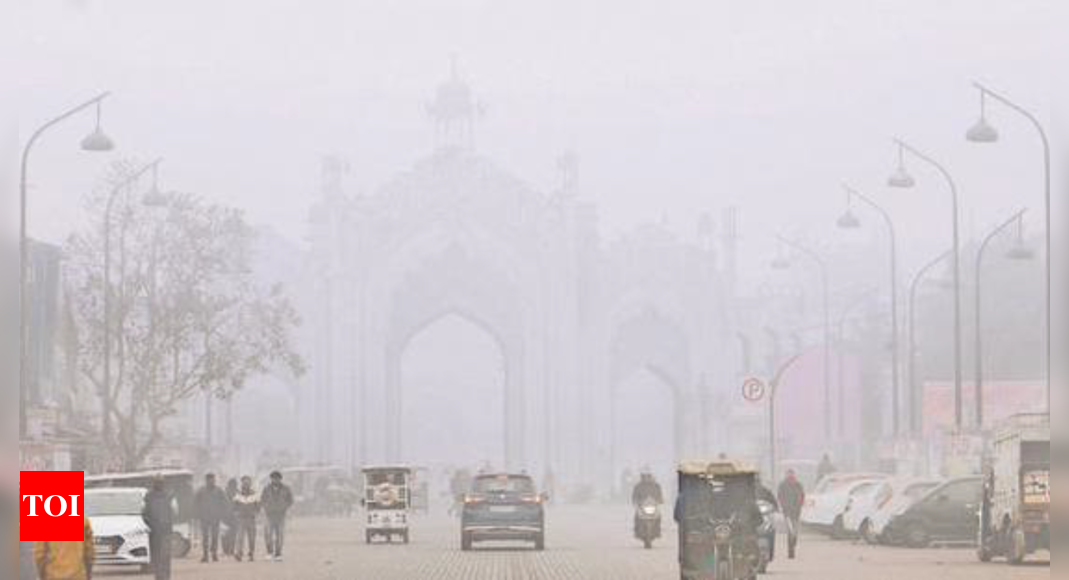 यूपी में 2 दिन और शीतलहर से राहत नहीं |  लखनऊ समाचार – टाइम्स ऑफ इंडिया
