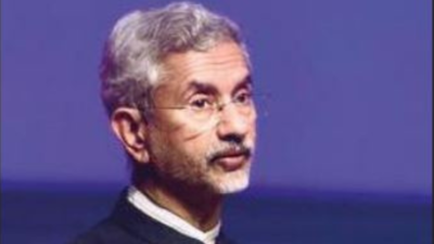 Young Indians abroad can propel country to new heights: S Jaishankar