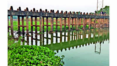 Experts urge govt for Prachi river revival