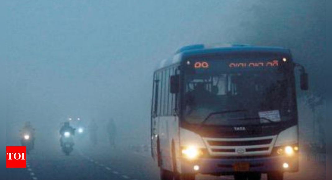 शहर का रिकॉर्ड 10.5c, जनवरी में 3 साल में सबसे कम |  भुवनेश्वर समाचार – टाइम्स ऑफ इंडिया