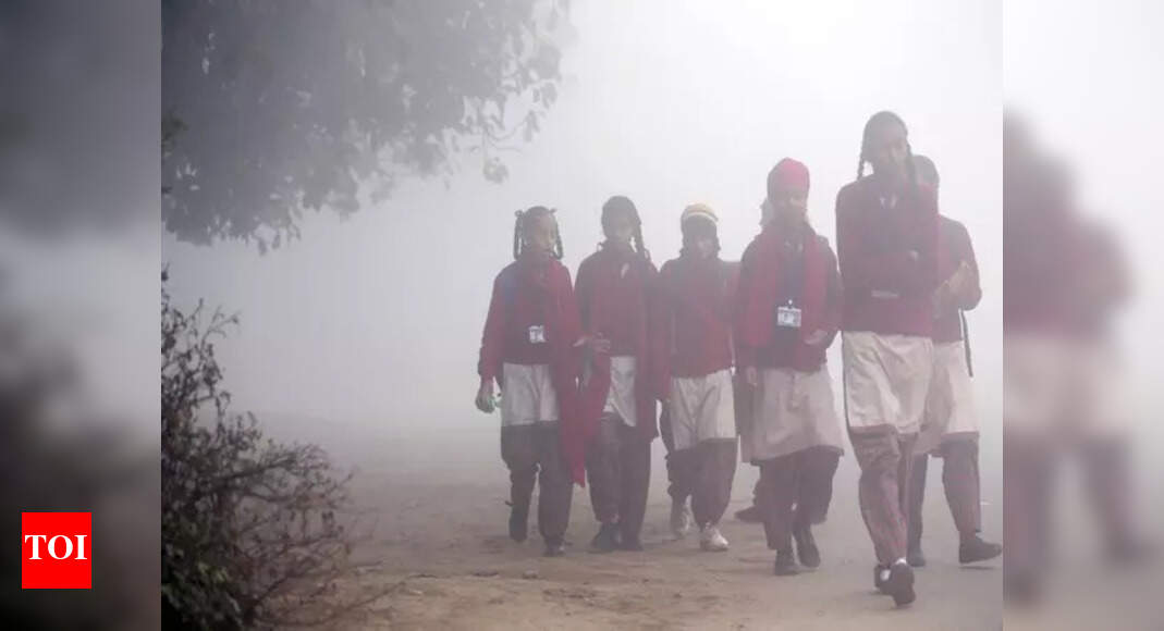 Delhi colleges closed until January 15 within the wake of chilly wave