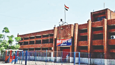 Drug peddler gets 10-year jail term in Punjab