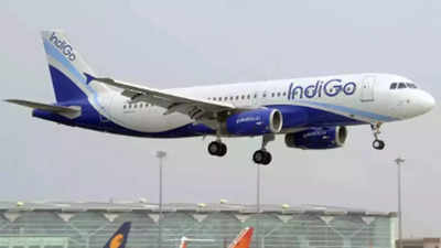 Drunk passengers wreak havoc on Delhi-Indigo flight, arrested