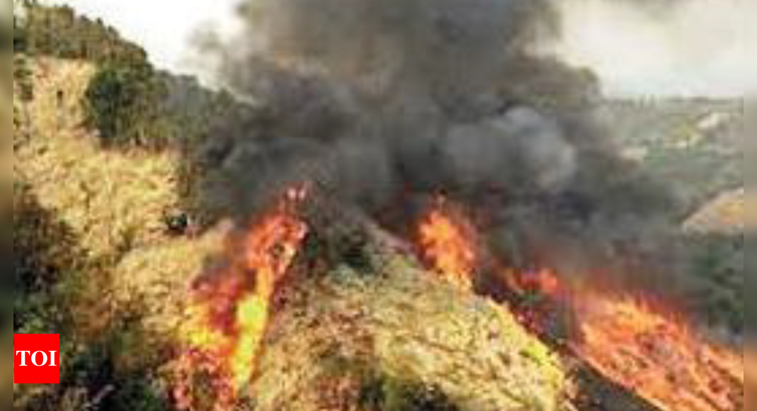 Fires killed 15, injured 11 in state last year: Mizoram