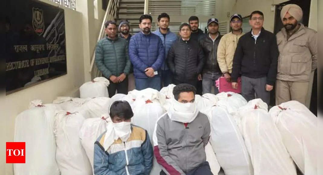 ludhiana-dri-seizes-520-kg-ganja-2-arrested-ludhiana-news-times-of