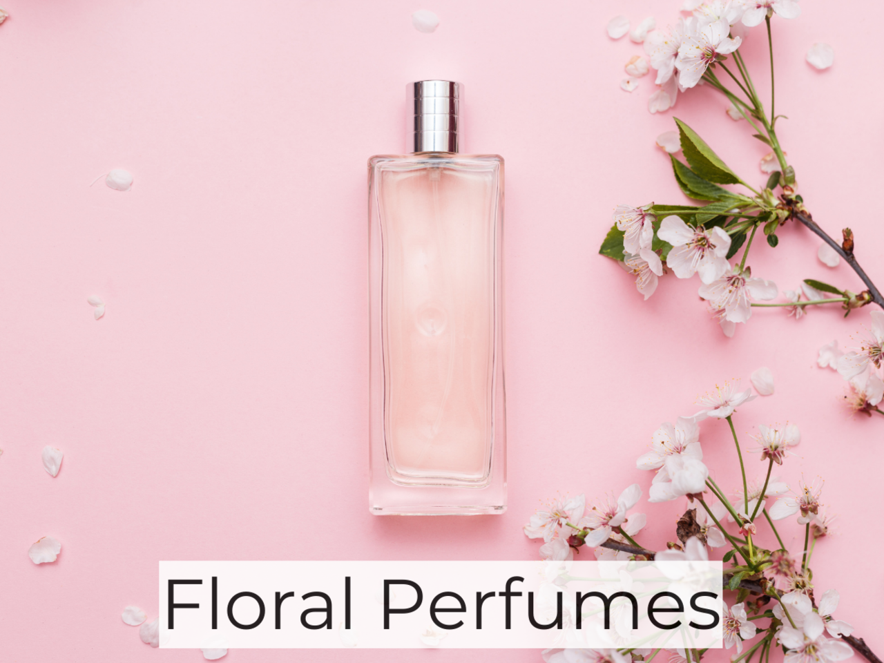 11 Floral Perfumes That Will Leave You Smelling Irresistible - Times of  India (November, 2023)