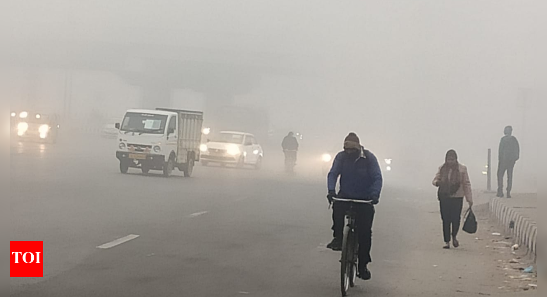 दिल्ली में मौसम का सबसे लंबा कोहरा छाया;  रेल, हवाई यातायात प्रभावित |  दिल्ली समाचार – टाइम्स ऑफ इंडिया