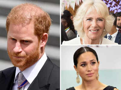 Harry: Camilla leaked private talks to media