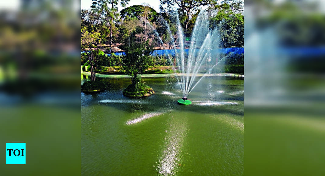 Steel City Zoo’s New Gate To Be Opened Soon, Visitors To Get Better