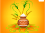 Pongal: 10 Beautiful Pongal Kolam Designs for Home