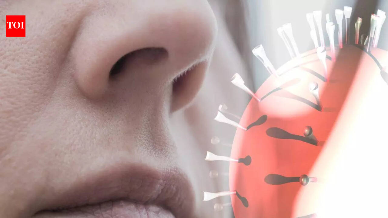 Coronavirus Symptoms: The top 3 COVID symptoms that could alert you of ...