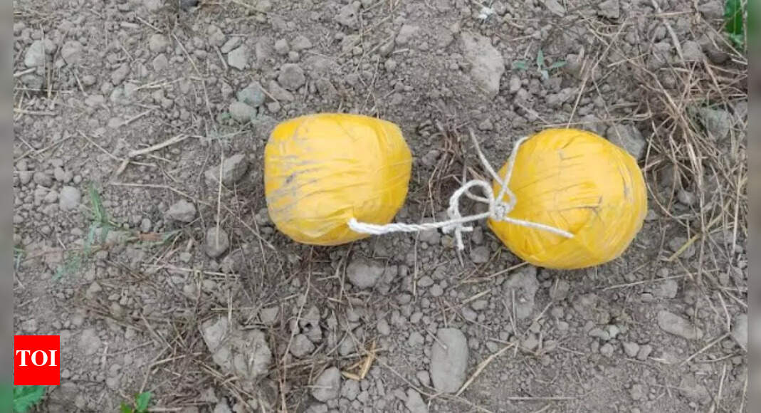 BSF recovers over 4.5 kg heroin from near Indo-Pak border in Punjab ...
