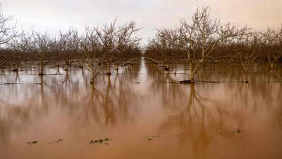 Over 2,20,000 still without power due to California storm