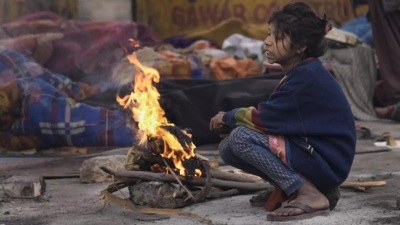 Cold wave relents in Delhi, dense fog forecast for Wednesday