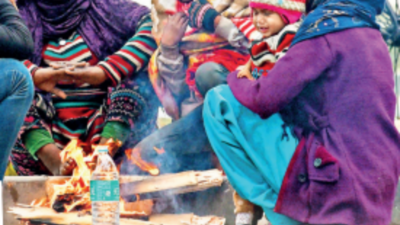 After five days, cold wave takes a break in Delhi