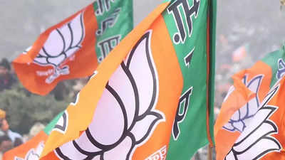 Delhi BJP holds banner campaign against AAP over MCD meeting disruption
