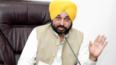 Resume duties or face suspension: CM Bhagwant Mann’s ultimatum to striking PCS officers