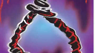 Couple dies by suicide in Maharashtra's Nashik district