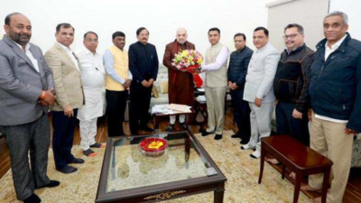 At meet with Amit Shah, Team Goa says withdraw Karnataka DPR nod