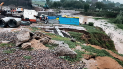 Pond destroyed for Delhi-Mumbai expressway? NGT seeks report
