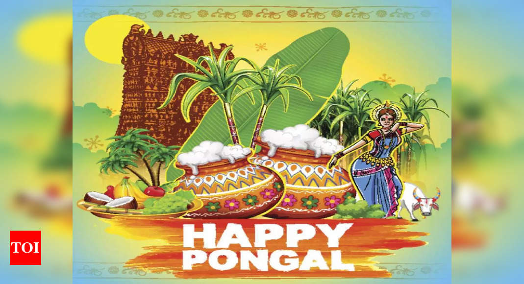 Pongal 2023: Date, Rituals, History, Story and Significance of this  festival - Times of India