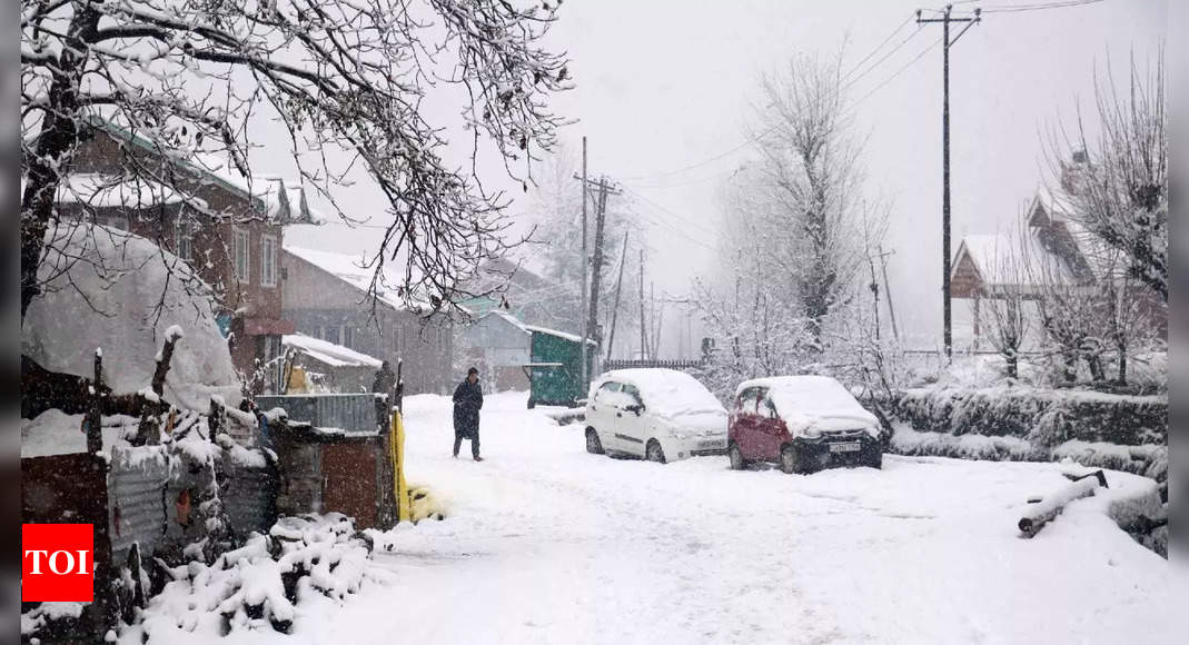 cold-wave-in-india-news-north-india-headed-for-severe-cold-spell-this