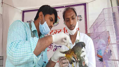 Animal rights activists ring alarm over sale of Chinese manja on Makar Sankranti in Mumbai