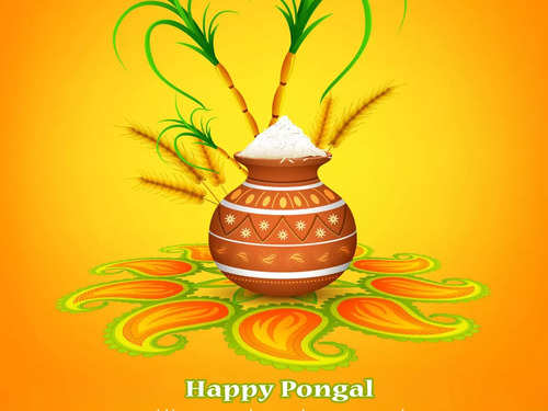 Pongal 2023: Importance Of This Traditional South Indian Festival | The  Times of India
