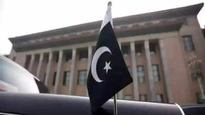 Pakistan says looking into case of Indian woman's allegations; expresses 'zero tolerance' for misbehaviour