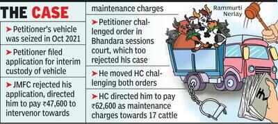 Pay Rs62k for maintaining cattle taken for slaughtering: HC to truck owner