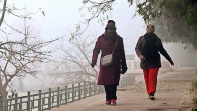 Milder 'cold day'after 10 days, but dense fog to linger
