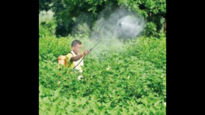 Tamil Nadu to standardise tests on pesticide in food