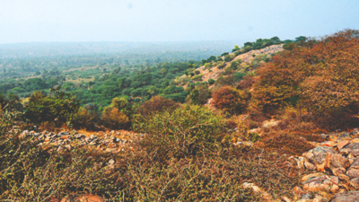50 acres in Aravalis to be cleared of illegal structures