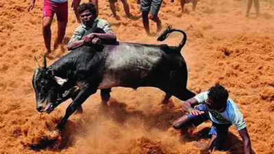 Over 3,000 cops to be deployed for jallikattu in Madurai