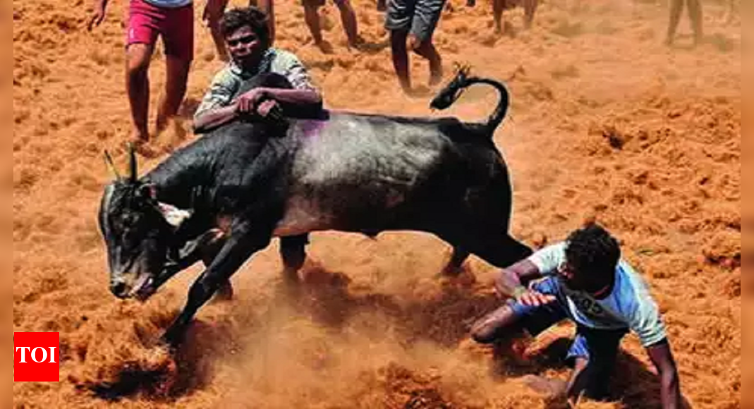 Over 3,000 Cops To Be Deployed For Jallikattu | Madurai News - Times of ...