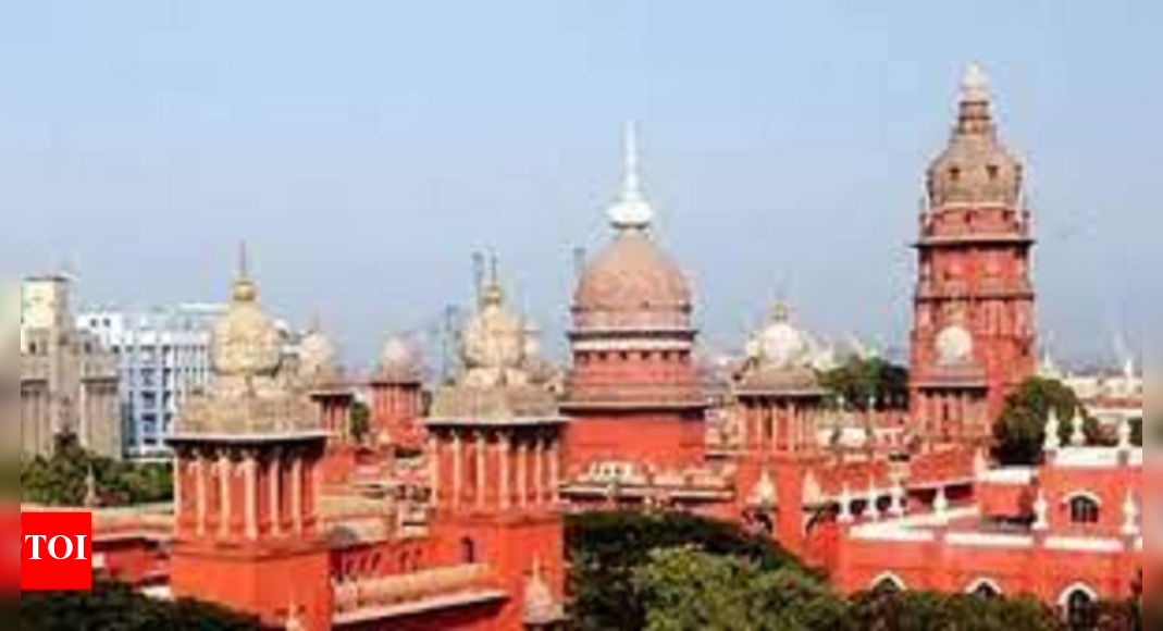 3 तमिलनाडु नदियों के गंगा-मॉडल संरक्षण के लिए हाईकोर्ट में याचिका |  मदुरै समाचार – टाइम्स ऑफ इंडिया