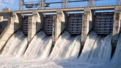 No impact study, Himachal Pradesh refuses clearance to 4 hydro projects