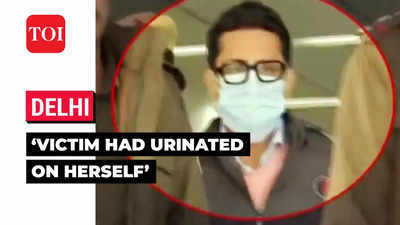 ‘Lady had urinated on herself on the Air India flight’: Shankar Mishra's counsel argues in the court