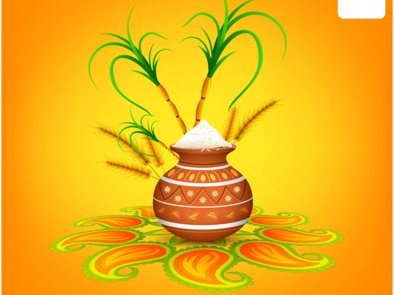 Happy Bhogi Pongal 2023: Top 50 Wishes, Messages, Quotes and Images to share with your family and friends on Bhogi Pongal